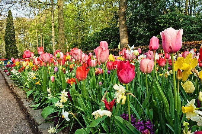 Private Keukenhof Gardens and Tulip Fields Tour from Amsterdam - Flexibility & Personalization