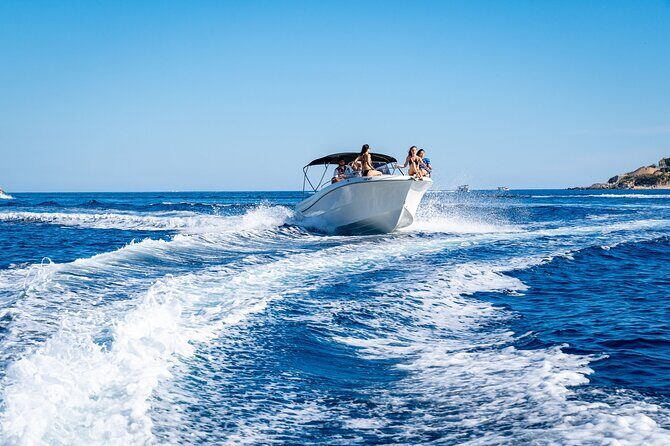 Private Kotor Bay Speed Boat Tour and Blue Cave Adventure - What Makes This Tour Stand Out?
