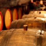Private Lake Balaton Experience with an unforgettable Wine Tasting - Pricing and Value