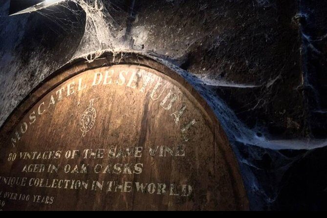 Private Lisbon Arrábida Wine Tour: Scenery, Food & Wines - Why This Tour Works