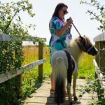 Private Miniature Horse Walking near Lincoln - Who Should Consider This Tour?
