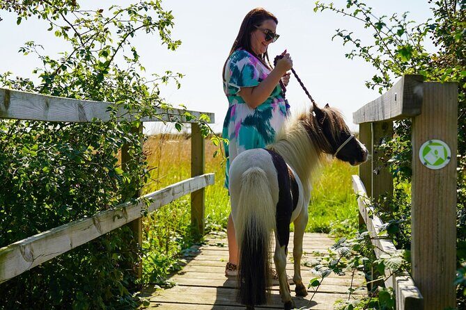 Private Miniature Horse Walking near Lincoln - Who Should Consider This Tour?