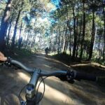 Private Mountain Biking Adventure in Sintra Cascais Park - Authentic Reviews and Insights