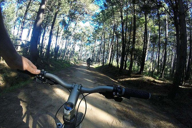 Private Mountain Biking Adventure in Sintra Cascais Park - Authentic Reviews and Insights