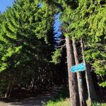 Private Mountain Biking in Vitosha from Sofia - Why the Price Offers Good Value