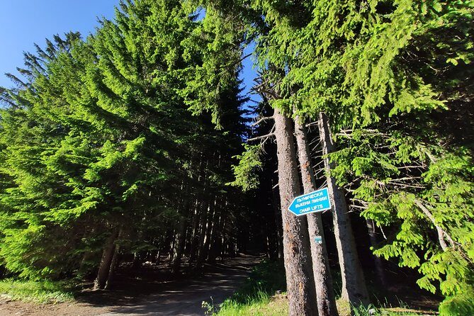 Private Mountain Biking in Vitosha from Sofia - Why the Price Offers Good Value