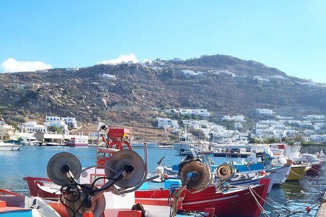 Private Mykonos Airport/Port Luxury Transfer-Taxi - What Makes This Transfer Stand Out?