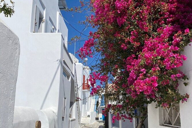 Private Mykonos Town Walking Tour And Islands Highlights - What Sets This Tour Apart? Insights from Travelers