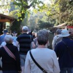 Private Panaromic Ephesus & Surroundings with Small Group Option - Who Should Consider This Tour?