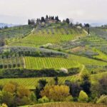 Private Shore Excursion from Livorno Port: Tuscany Highlights - Frequently Asked Questions (FAQs)