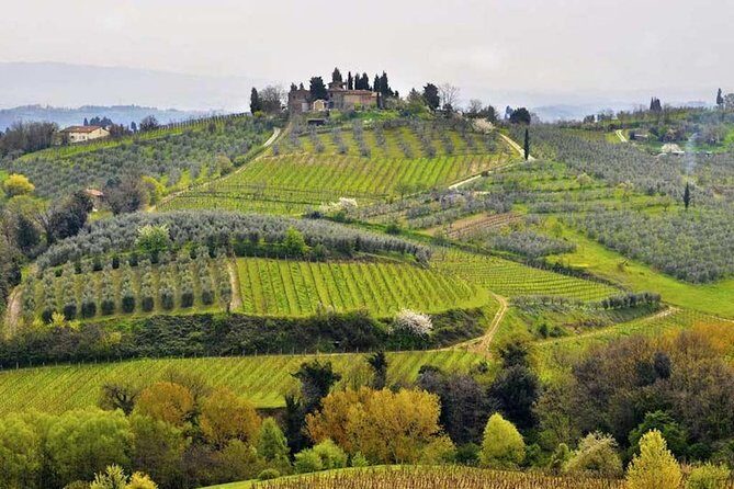 Private Shore Excursion from Livorno Port: Tuscany Highlights - Frequently Asked Questions (FAQs)