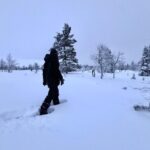 Private: Snowshoeing Safari in spectacular National Park - In-Depth Review of the Snowshoeing Safari