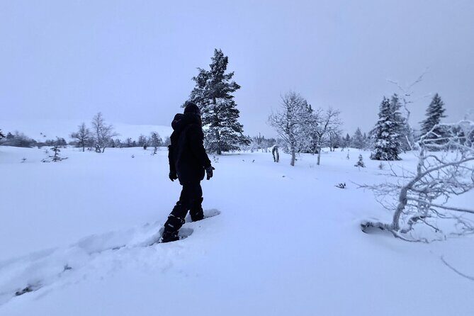 Private: Snowshoeing Safari in spectacular National Park - In-Depth Review of the Snowshoeing Safari