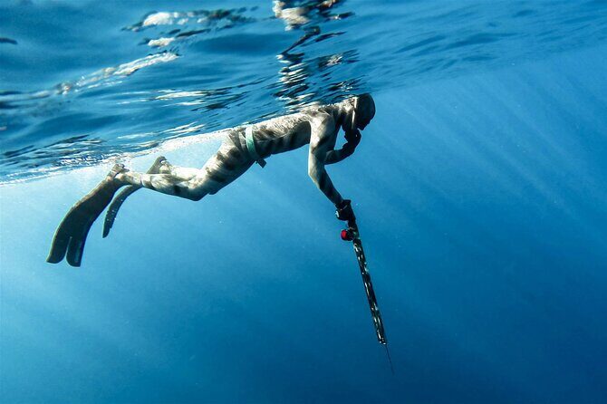Private Spearfishing Trip From Athens - Who Will Love This Experience?