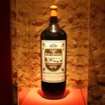 Private Special Tour Around Lisbon and Wine Tasting - Final Thoughts
