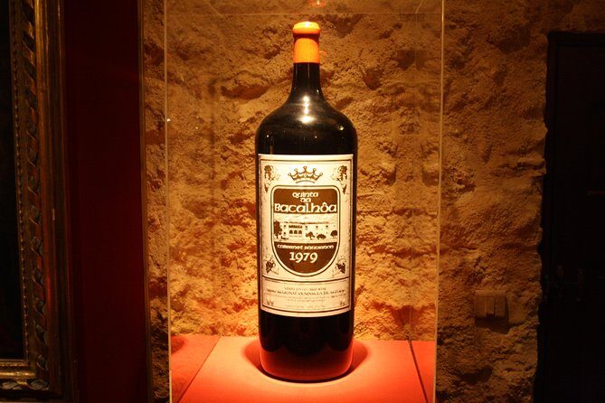 Private Special Tour Around Lisbon and Wine Tasting - Final Thoughts
