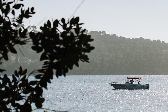 Private Speedboat Tour over Elaphiti Islands and Hidden Caves - Why This Tour Is Worth Considering