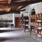 Private tasting of organic wines in the cellar in Arezzo - The Experience’s Value and Practical Details