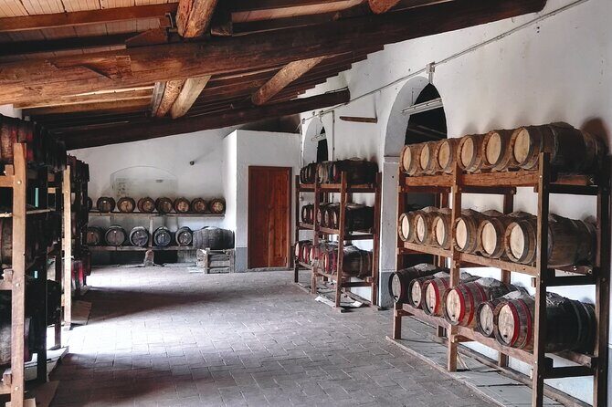 Private tasting of organic wines in the cellar in Arezzo - The Experience’s Value and Practical Details
