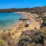 Private Tour: All The Highlights Of Mykonos You Have To See - Real Experiences from Past Guests