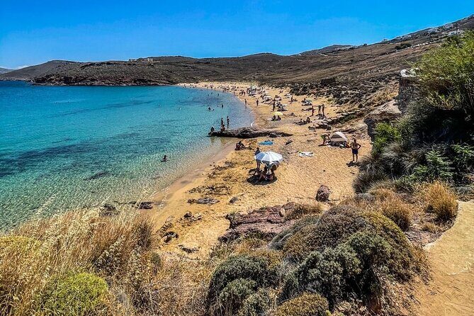 Private Tour: All The Highlights Of Mykonos You Have To See - Real Experiences from Past Guests