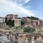 Private Tour Colosseum, Palatine Hill & Roman Forum - Practical Details and What to Keep in Mind