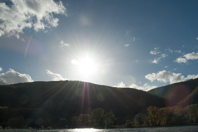 Private Tour: Customizable Rhine Valley Day Trip from Frankfurt - Who Should Consider This Tour?