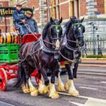 Private Tour Guide Amsterdam with a Local: Kickstart your Trip, Personalized - Final Thoughts