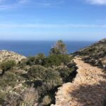 Private Tour in Chania Monasteries - Who Will Love This Tour?