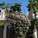 Private Tour-Knossos Palace Zeus Cave&Olive Oil Mill from Elounda - FAQs