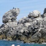 Private tour of Capri & Anacapri with Scenic Shared Boat Ride - Summary