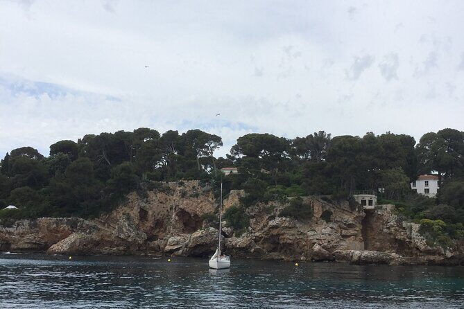 Private Tour of the French Riviera from Cannes Including Eze, Monaco, Cannes, and Saint-Paul-de-Vence - Transport and Comfort