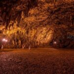 Private Tour: The Caves & Swim at Myrtos beach - Transportation and Overall Experience