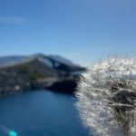 Private Tour to Atlantic Road from Ålesund groups 1 to 40 - Lunch at Skaret - Skarstua: Tasting Norway’s Flavors