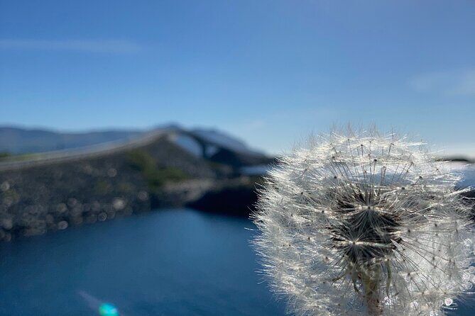 Private Tour to Atlantic Road from Ålesund groups 1 to 40 - Lunch at Skaret - Skarstua: Tasting Norway’s Flavors