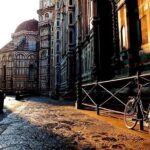 Private tour to Florence and Pisa from Livorno port - What’s Included and What’s Not