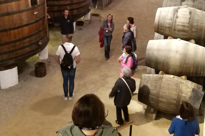 Private Tour to stunning Douro Valley and most renowned wineries - Who Should Book This Tour?