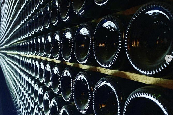 Private Tour: Top Three Organic Wineries & Local Lunch Included - Who Will Love This Tour?