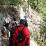 Private Tour: Truffle-Hunting Experience from Sorrento with Lunch - A Deep Dive Into the Truffle-Hunting Tour