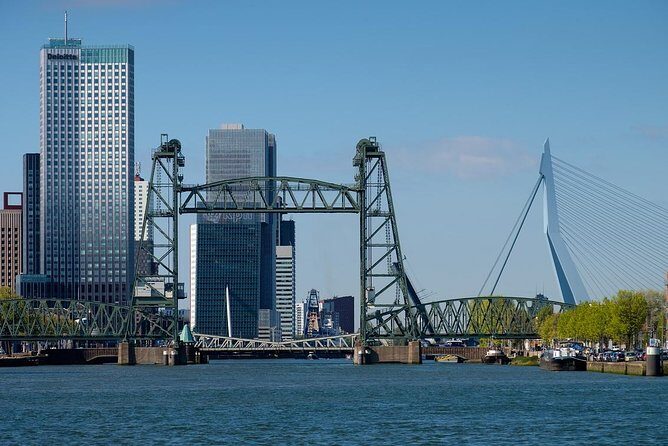 Private Transfer from Amsterdam city center to Rotterdam - What to Expect During the Ride