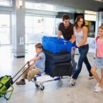 Private transfer from Charles de Gaulle airport to Paris: Premium Service - A Detailed Look at the Experience