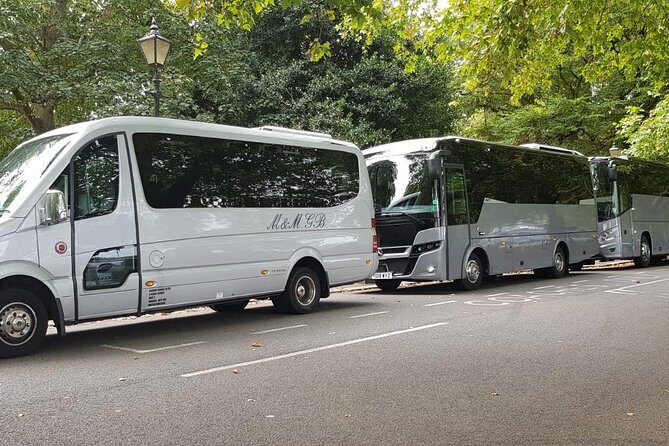Private Transfer from London to Southampton cruise port - Who Will Love This Service?