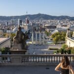 Private Transfer From Madrid to Barcelona English Speaking Driver - Price and Overall Value
