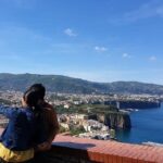 Private transfer from Naples to Sorrento with stop in Pompeii - How Does Pricing Reflect Value?