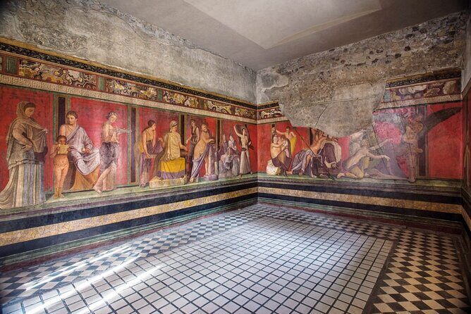 Private Transfer from Pompeii to Naples Airport or Naples Airport to Pompeii - Vehicle Comfort and Driver Experience