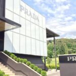Private Transfer from Rome to Florence with 3 hours stop in The Mall Lux Outlet - The Drive to Florence – Transitioning from Shopping to Sightseeing