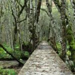 "Private Transfers & Day Tours in Montenegro - Who Should Consider This Tour?