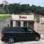 Private Transportation to Ribera del Duero by Minivan - Authentic Insights from Travelers