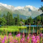 Private Trip from Geneva to Swiss Riviera Montreux & Chamonix - Who This Tour Is Best For