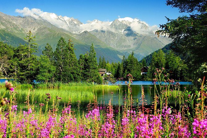 Private Trip from Geneva to Swiss Riviera Montreux & Chamonix - Who This Tour Is Best For